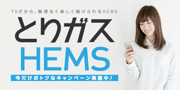 とりガスHEMS